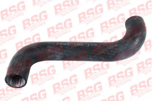 BSG 60-720-003 Furtun radiator BSG 