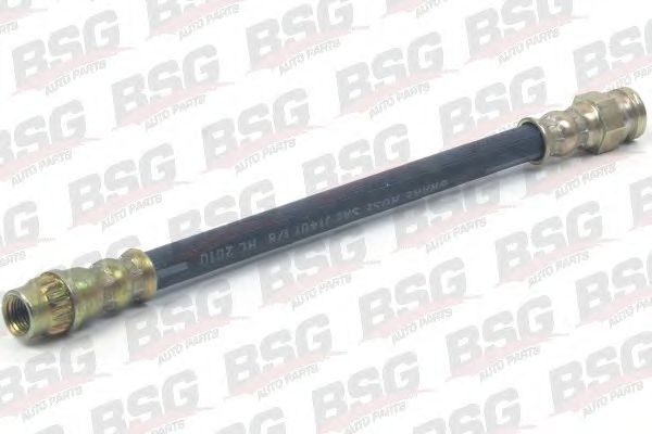 BSG 70-730-005 Furtun frana BSG 