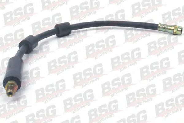 BSG 70-730-006 Furtun frana BSG 