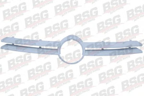 BSG 90-927-003 Grila radiator BSG 