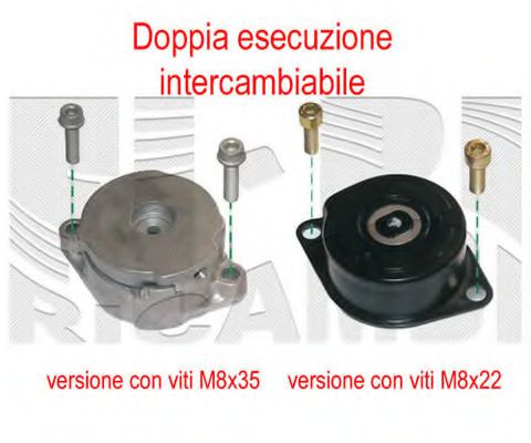 FI10060 Intinzator curea, curea distributie KM International 