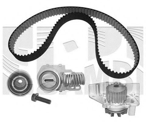 Set curea de distributie
