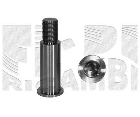 67568 rola intinzator,curea transmisie CALIBER 