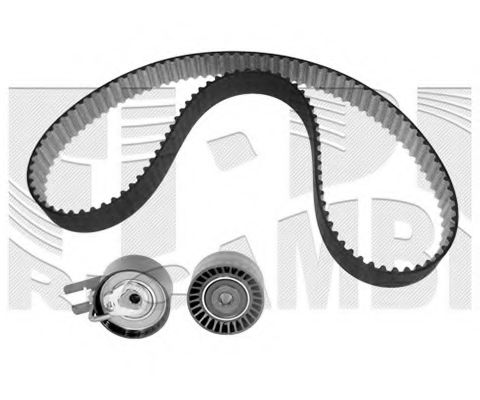 Set curea de distributie