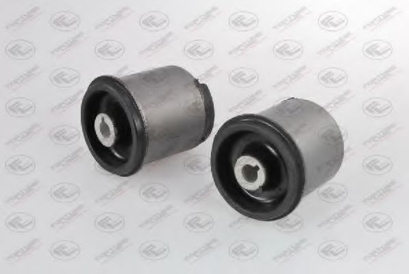 FZ90509 Set reparatie, corp ax FORTUNE LINE 