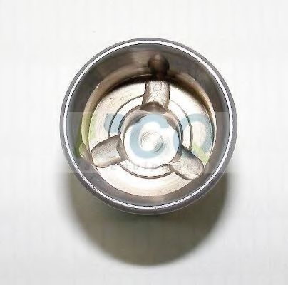 Piston, etrier frana 2
