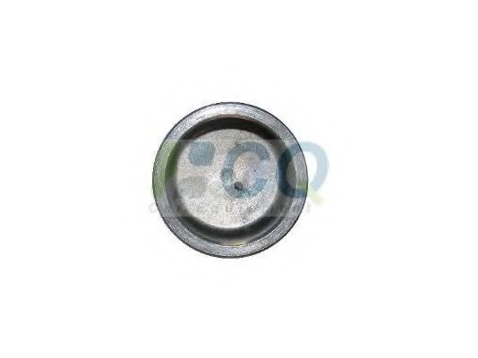 Piston, etrier frana 3