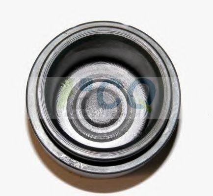Piston, etrier frana 2