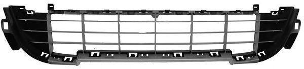 207-09113 Grila radiator PHIRA 