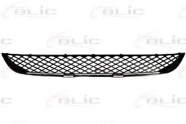 5510-00-3547995P Grila ventilatie, bara protectie BLIC 