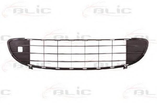5513-00-5537995P Grila ventilatie, bara protectie BLIC 