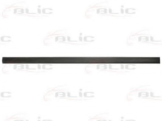 5703-04-5077571P Elemente decorative/protectie, portiera BLIC 