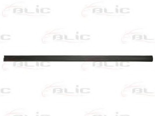 5703-04-5077572P Elemente decorative/protectie, portiera BLIC 