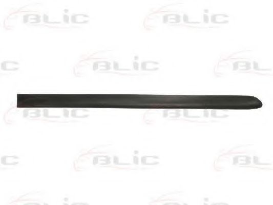 5703-04-5077574P Elemente decorative/protectie, portiera BLIC 