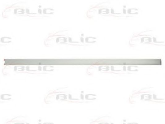 5703-04-5077575P Elemente decorative/protectie, portiera BLIC 