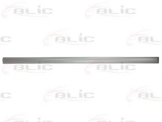 5703-04-5077576P Elemente decorative/protectie, portiera BLIC 