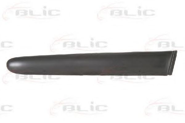 5703-04-5507474P Elemente decorative/protectie, aripa BLIC 