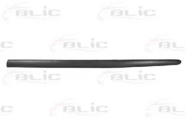 5703-04-5507571PP Elemente decorative/protectie, aripa BLIC 