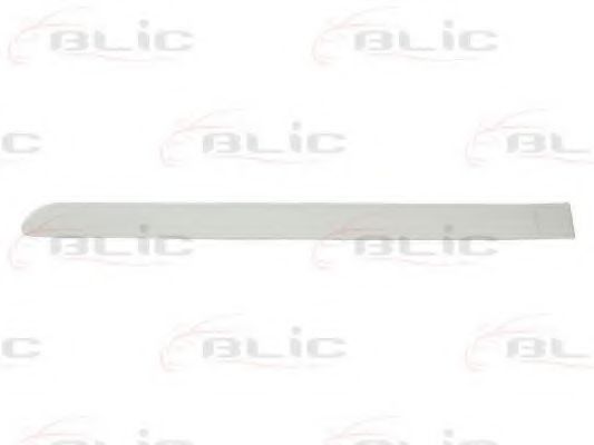 5703-04-5514577P Elemente decorative/protectie, portiera BLIC 