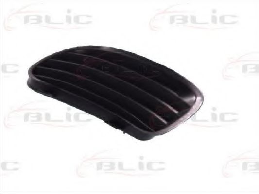 5703-05-5077922PP Grila ventilatie, bara protectie BLIC 