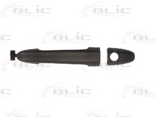 6010-02-065401P maner usa BLIC 