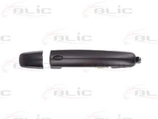 6010-18-021402CP maner usa BLIC 