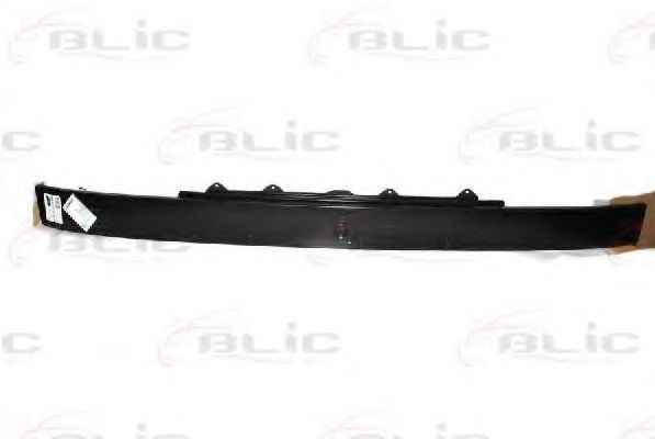 6502-07-2092990P Grila radiator BLIC 