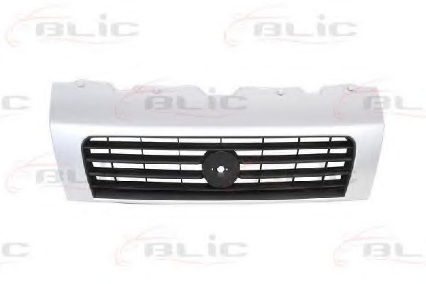 6502-07-2097990P Grila radiator BLIC 