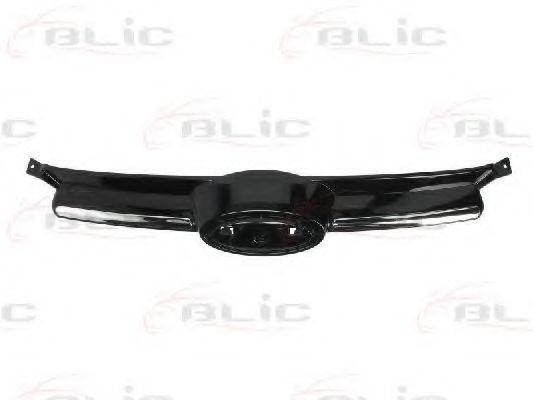 6502-07-2536990P Grila radiator BLIC 