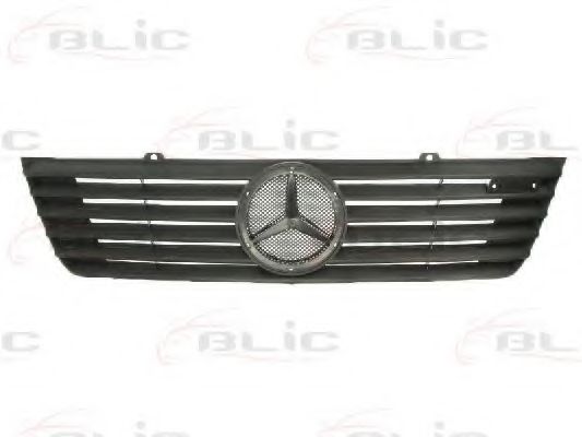 Grila radiator 2