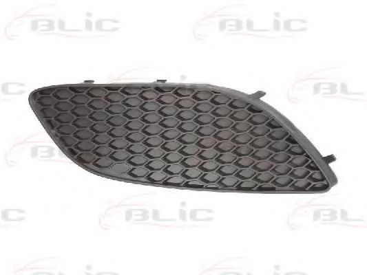 6502-07-5063916Q Grila ventilatie, bara protectie BLIC 