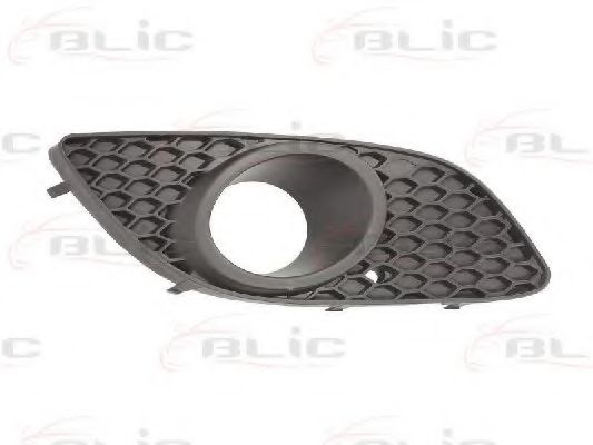 6502-07-5063918Q Grila ventilatie, bara protectie BLIC 