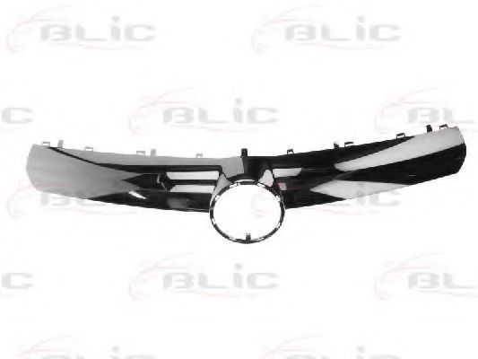 6502-07-5063991P Banda de protectie, grila radiator BLIC 