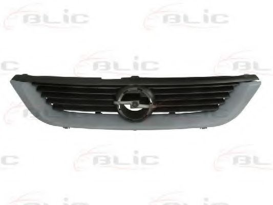 Grila radiator 2