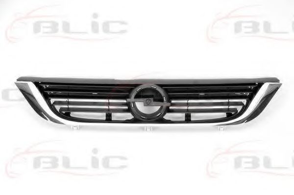 6502-07-5077994P Grila radiator BLIC 