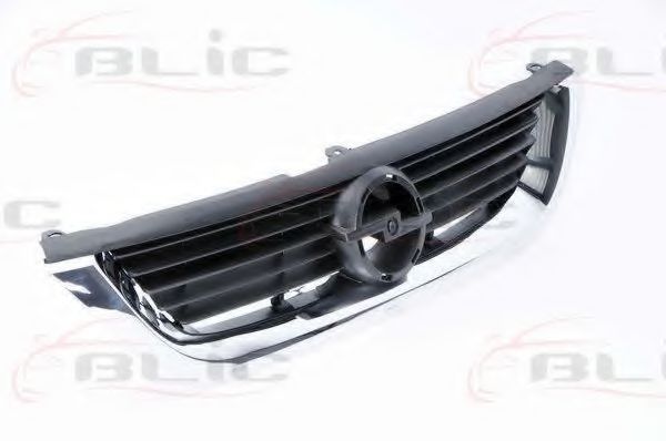 Grila radiator 2
