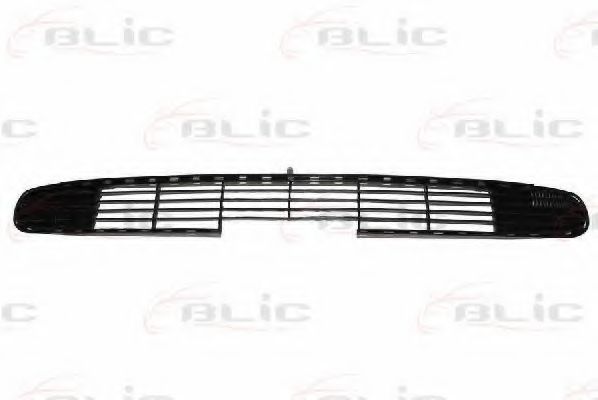 6502-07-5077997P Grila ventilatie, bara protectie BLIC 
