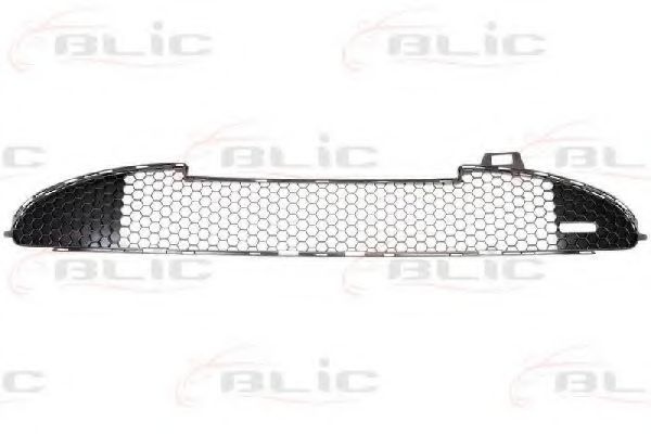 6502-07-5507996P Grila ventilatie, bara protectie BLIC 