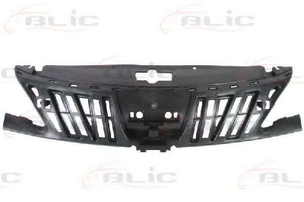 6502-07-5514991P Grila radiator BLIC 