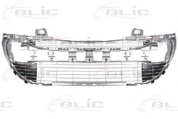 6502-07-5519910P Grila ventilatie, bara protectie BLIC 