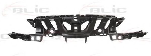 6502-07-5519991P Grila radiator BLIC 