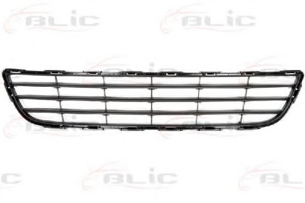 6502-07-6815910P Grila ventilatie, bara protectie BLIC 