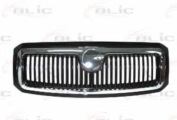 6502-07-7514991P Grila radiator BLIC 