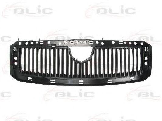 6502-07-7514992 Grila radiator BLIC 