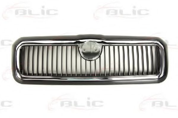 6502-07-7520990P Grila radiator BLIC 