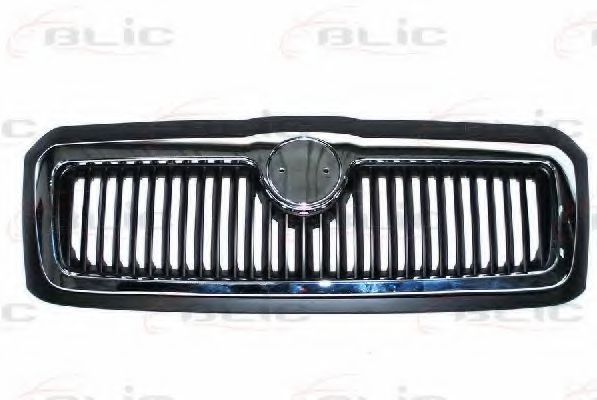 6502-07-7520991P Grila radiator BLIC 
