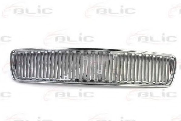 6502-07-9008990P Grila radiator BLIC 