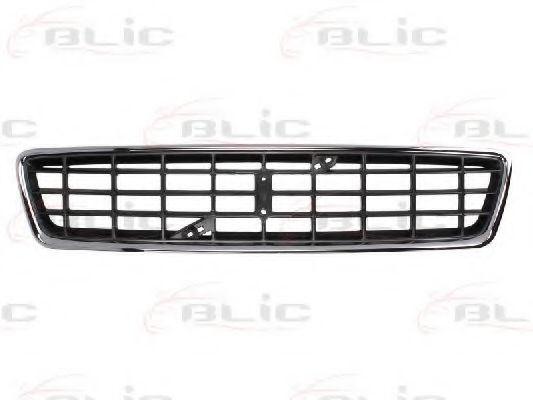 6502-07-9009990P Grila radiator BLIC 