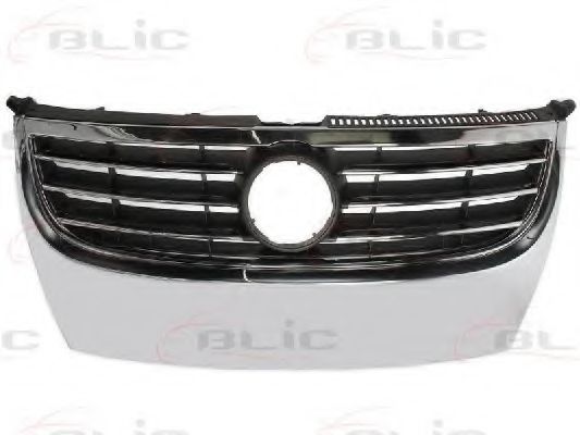 6502-07-9545991P Grila radiator BLIC 