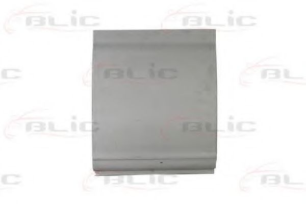 6504-03-2092010P Panou lateral BLIC 